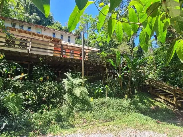 Imagem 12: Casa de 3 Dormitórios na Lagoa da Conceição