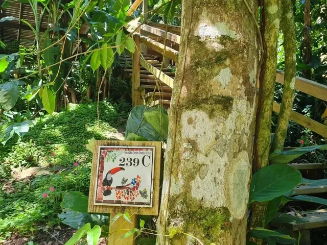 Imagem 6: Casa de 3 Dormitórios na Lagoa da Conceição
