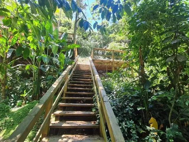 Imagem 3: Casa de 3 Dormitórios na Lagoa da Conceição