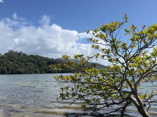 Imagem 4: Casa - Florianópolis Sc