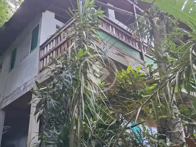Imagem 4: Casa na Costa da Lagoa Codigo: 143376