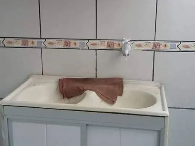 Imagem 3: Apartamento 2 Quartos em Capim Macio
