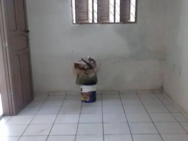 Imagem 4: Alugo Casa no Nossa Senhora da Apresentação