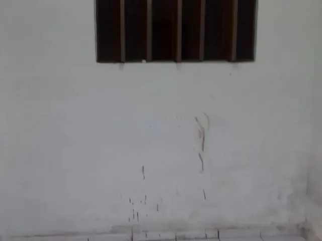 Imagem 5: Alugo Casa no Nossa Senhora da Apresentação