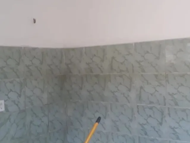 Imagem 6: Imóvel com Duas Casas Bairro Curió