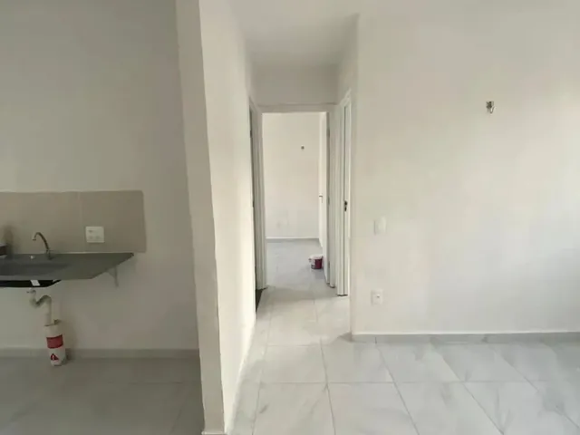 Imagem 12: Repasse Jardim dos Pássaros - Curió