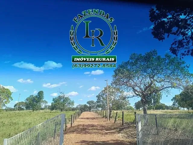 Imagem 1: Chácara de 5 Alqueires Próximo a Paraiso do Tocantins
