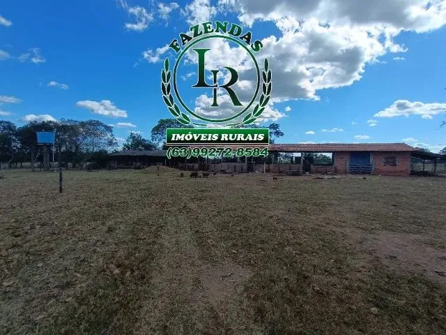 Imagem 6: Chácara de 5 Alqueires Próximo a Paraiso do Tocantins