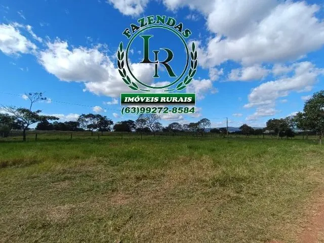 Imagem 7: Chácara de 5 Alqueires Próximo a Paraiso do Tocantins