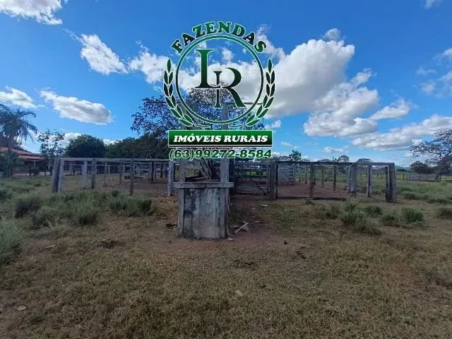 Imagem 5: Chácara de 5 Alqueires Próximo a Paraiso do Tocantins