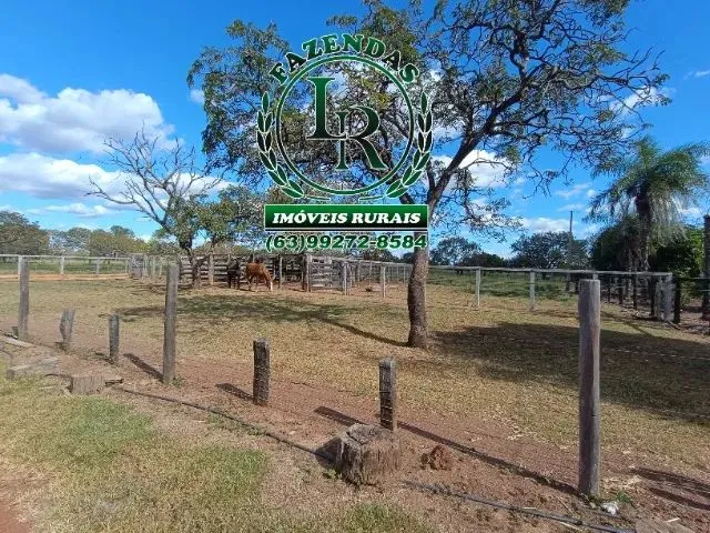 Imagem 13: Chácara de 5 Alqueires Próximo a Paraiso do Tocantins