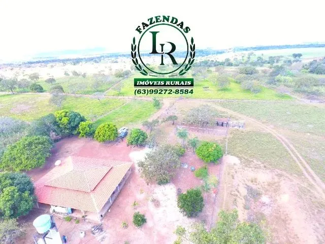 Imagem 14: Chácara de 5 Alqueires Próximo a Paraiso do Tocantins