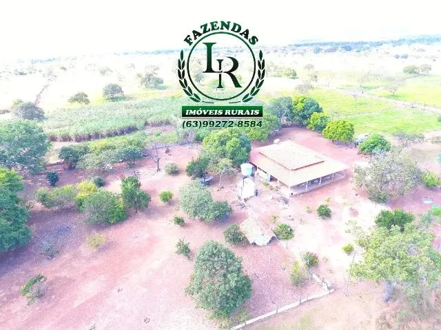 Imagem 16: Chácara de 5 Alqueires Próximo a Paraiso do Tocantins