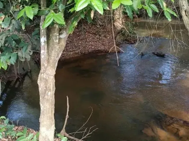 Imagem: Chácara na Beira do Rio Lageado