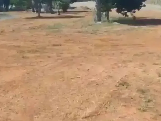 Imagem: Chácara Beira Lago, Sentindo Lageado C
