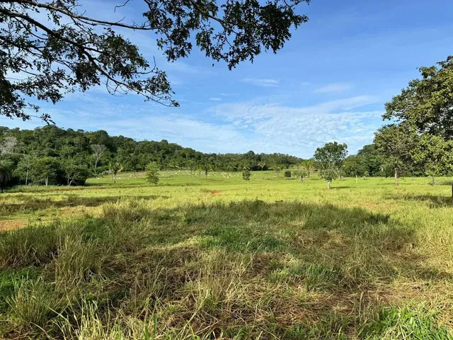 Imagem: Fazenda a Venda, Próximo a Palmas-To, Oportunidade