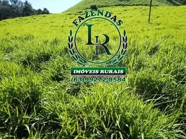 Imagem: Chácara 2,5 Alqueires