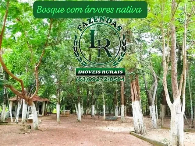 Imagem: Chácara Beira do Lago santa Luzia