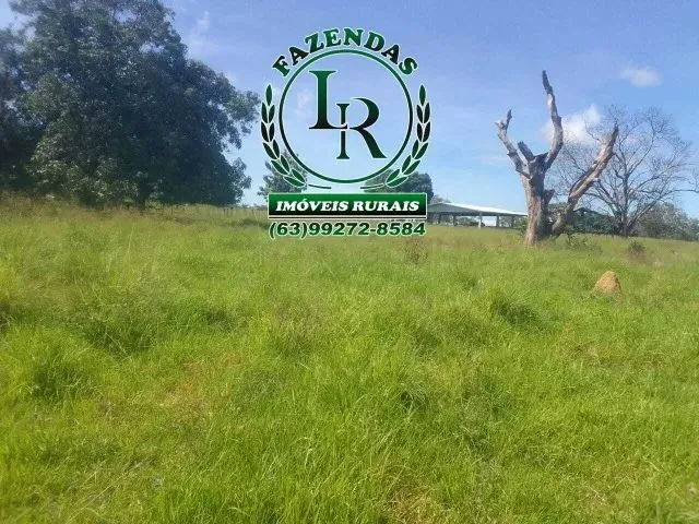 Imagem: Fazenda 38,5 Alqueires Alqueires