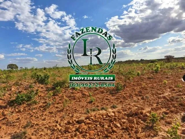 Imagem: Fazenda de 416 Alqueires Plana