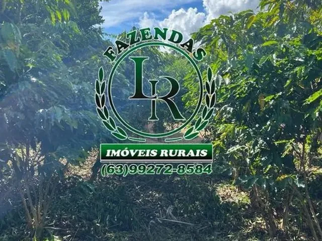 Imagem: Fazenda 72 Alqueires Dupla Aptidão