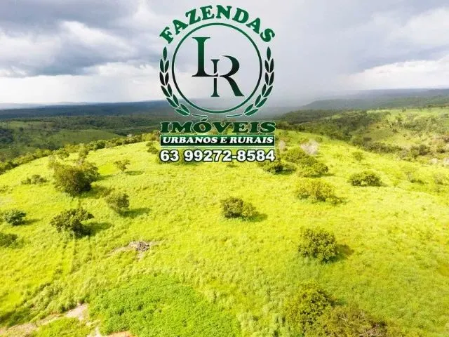 Imagem: Fazenda 28 Alqueires Próximo a Palmas-To