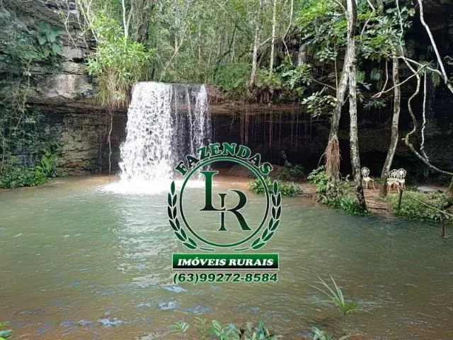 Imagem: Fazenda 23 Alqueires Taquaruçu Tocantins