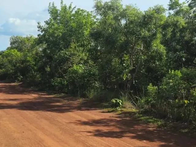 Imagem: Terrenos para Chácara de 2500M² - Ótima