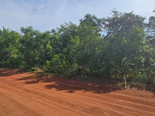 Imagem 2: Terrenos para Chácara de 2500M² - Ótima Localização e Preço Abaixo do Mercado