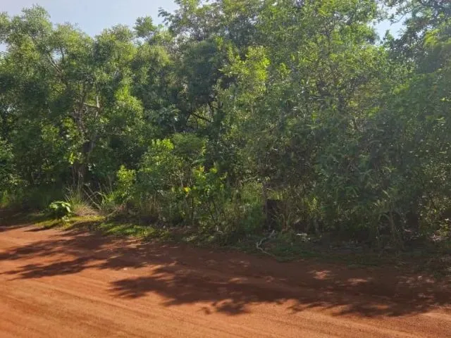 Imagem 5: Terrenos para Chácara de 2500M² - Ótima Localização e Preço Abaixo do Mercado