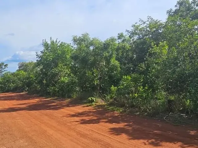 Imagem 3: Terrenos para Chácara de 2500M² - Ótima Localização e Preço Abaixo do Mercado