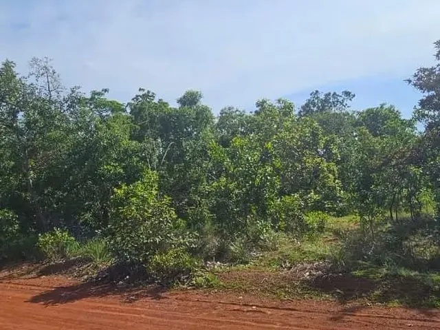 Imagem 4: Terrenos para Chácara de 2500M² - Ótima Localização e Preço Abaixo do Mercado