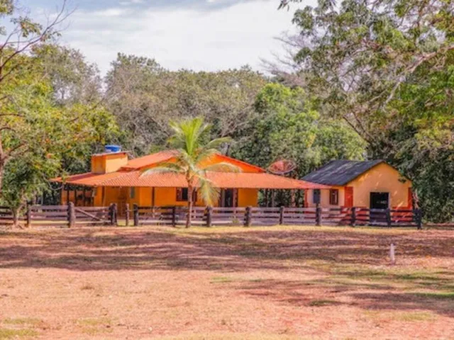 Imagem: Fazenda em Rio Sono. 60 Mil o Alqueire