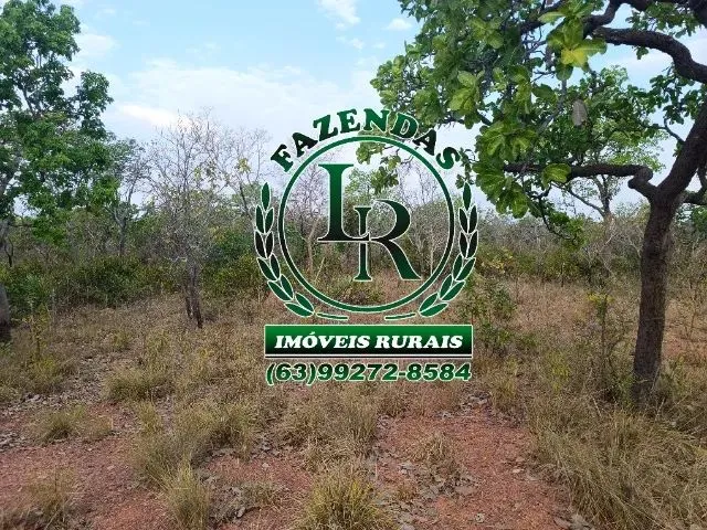Imagem: Fazenda 340,86 Alqueires Bruta