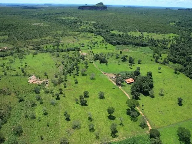 Imagem: Fazenda em Ponte Alta. Beira do Asfalto