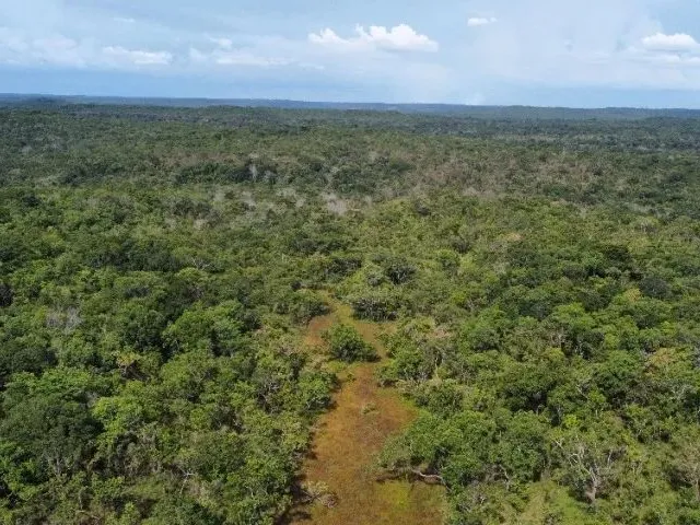 Imagem: Fazenda no Tocantins
