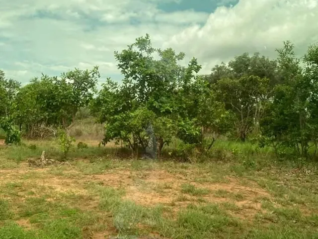 Imagem: Lote de Chácara