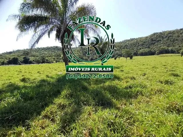 Imagem: Fazenda / Chácara 21,8 Alqueires Próximo