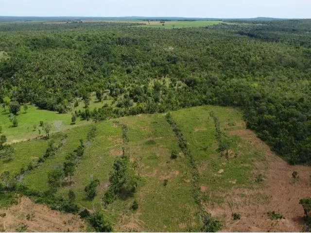 Imagem: Vendo Fazenda Próximo a Palmas To