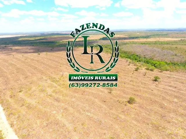 Imagem: Fazenda Tocantins 130 Alqueires Lavoura