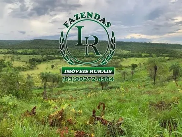 Imagem: Fazenda / Chácara 10 Alqueires Dupla Aptidão