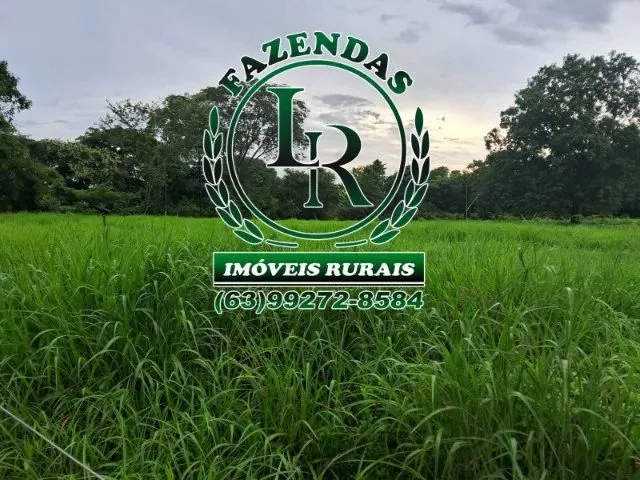 Imagem: Fazenda 29 Alqueires Região Aparecida Rio