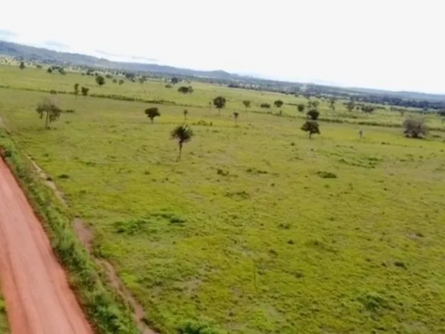 Imagem: Fazenda em Filadélfia - Araguaína