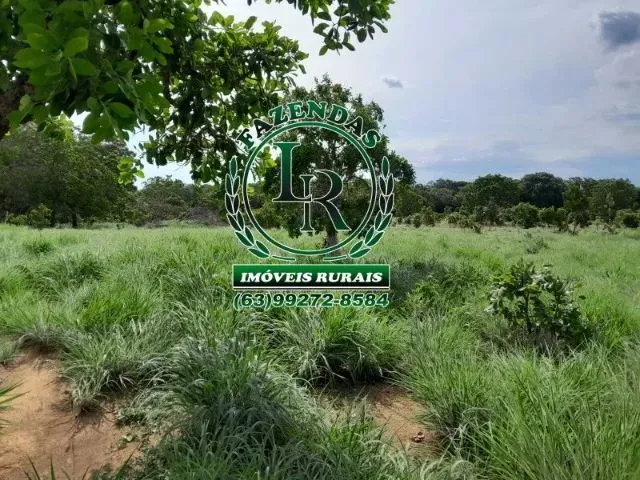 Imagem: Fazenda 100 Aqueires Dupla Aptidão Tocantins