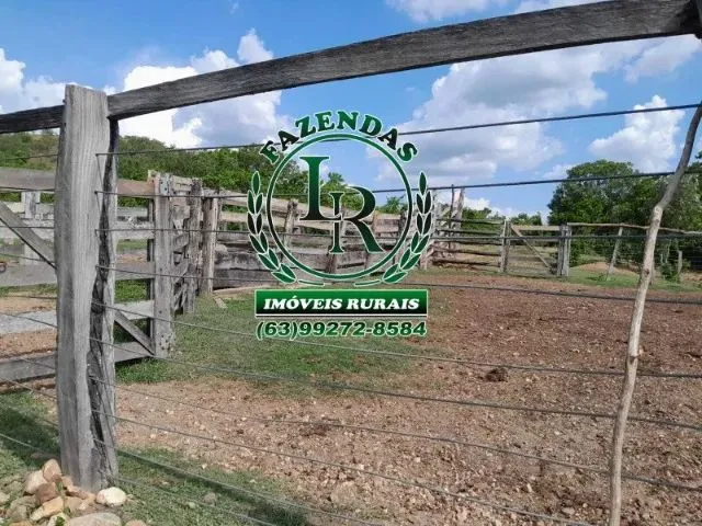 Imagem 6: Fazenda 100 Aqueires Dupla Aptidão Tocantins