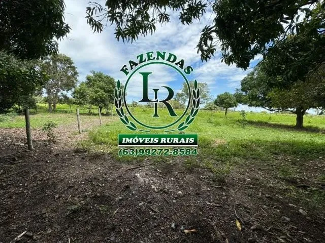 Imagem 7: Fazenda 100 Aqueires Dupla Aptidão Tocantins