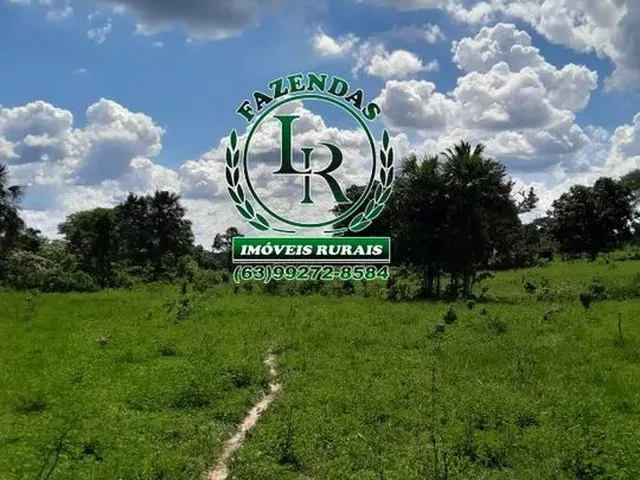 Imagem 14: Fazenda 100 Aqueires Dupla Aptidão Tocantins