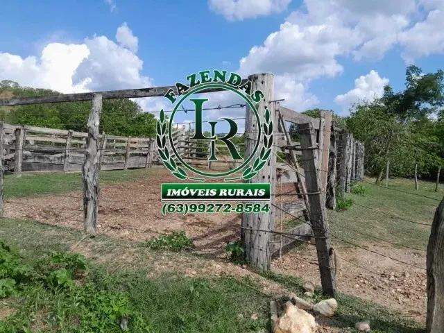 Imagem 15: Fazenda 100 Aqueires Dupla Aptidão Tocantins