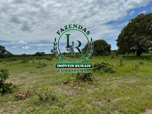 Imagem 5: Fazenda 100 Aqueires Dupla Aptidão Tocantins