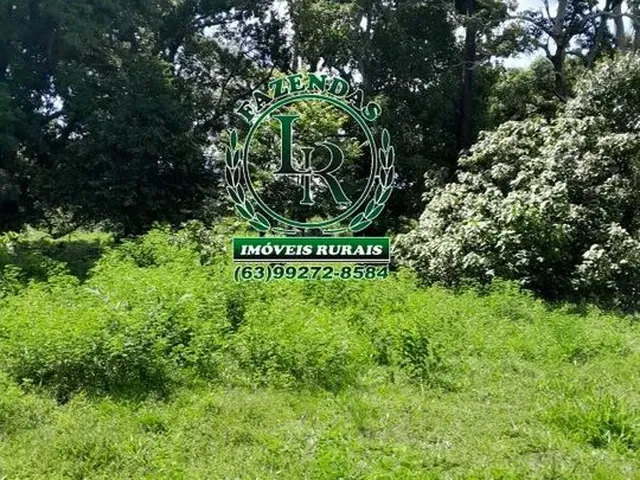 Imagem 11: Fazenda 100 Aqueires Dupla Aptidão Tocantins